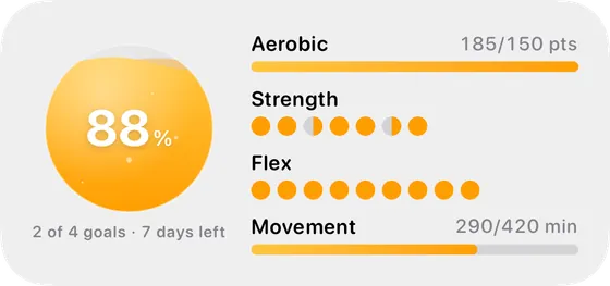 Four Pillars widget showing Aerobic, Strength, Flexibility, and Movement progress